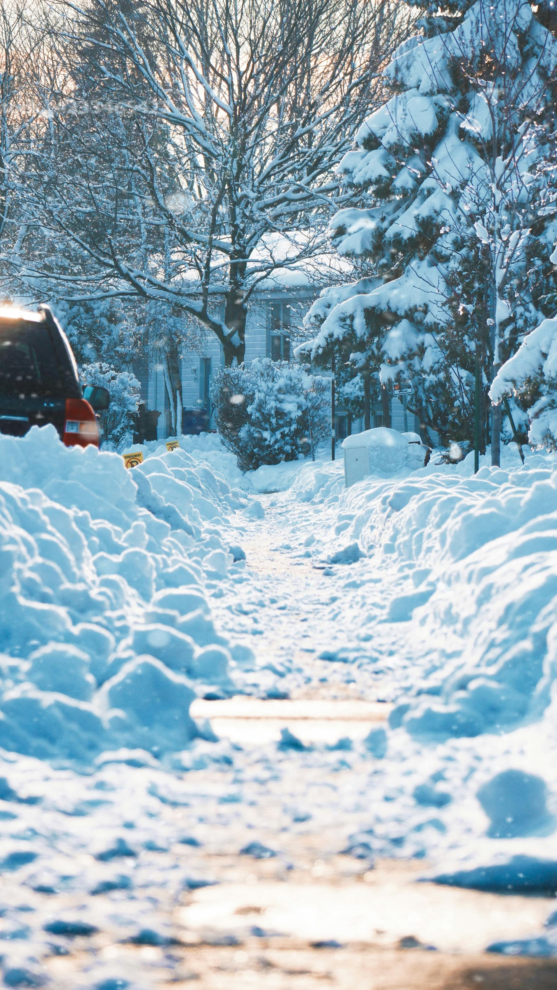 Winterdienst – Green Guard GmbH